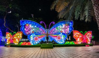 Dubai glow garden